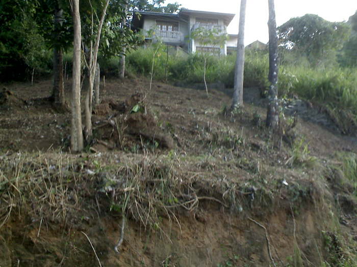 Kandy Bare Land for sale/rent